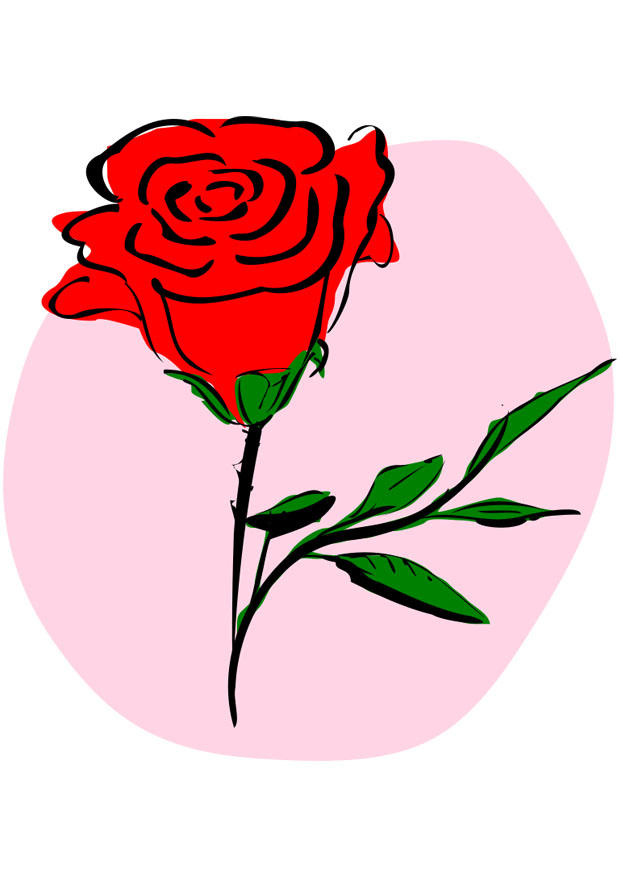 Afbeelding rode roos 