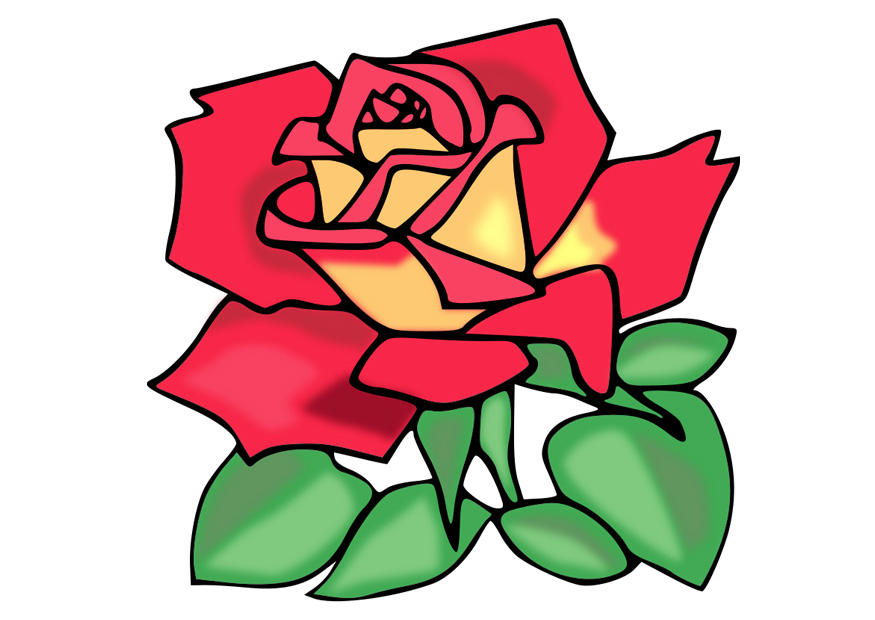 Afbeelding roos