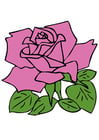 Afbeelding roos
