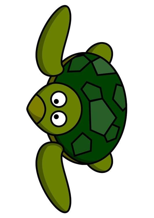 z1-schildpad