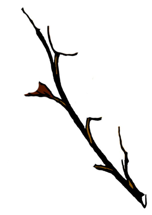 Afbeelding tak van boom in winter