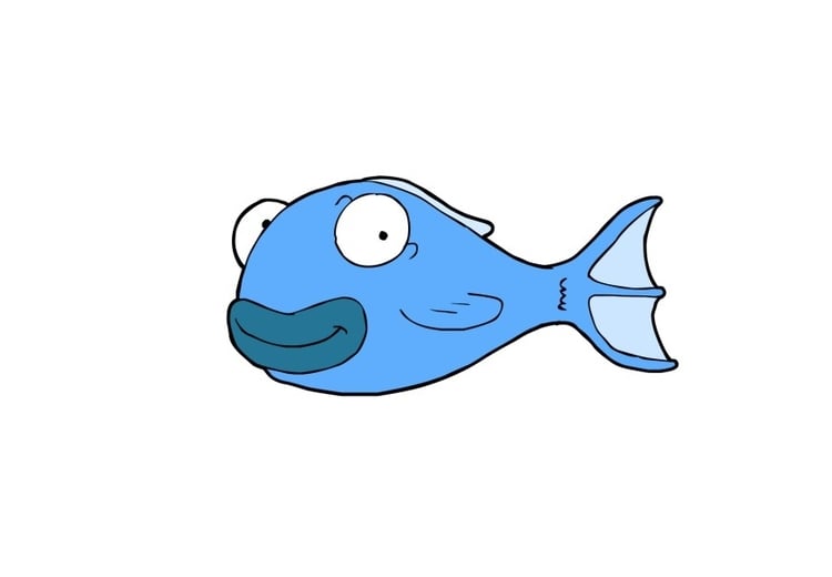 Afbeelding vis