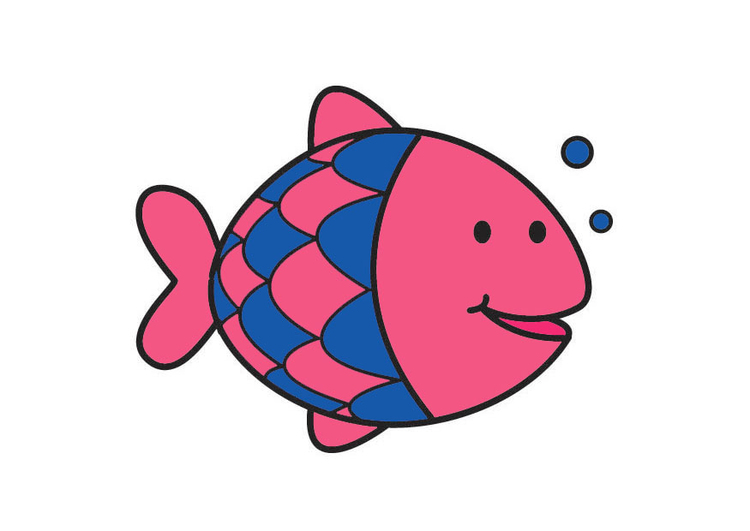 Afbeelding vis