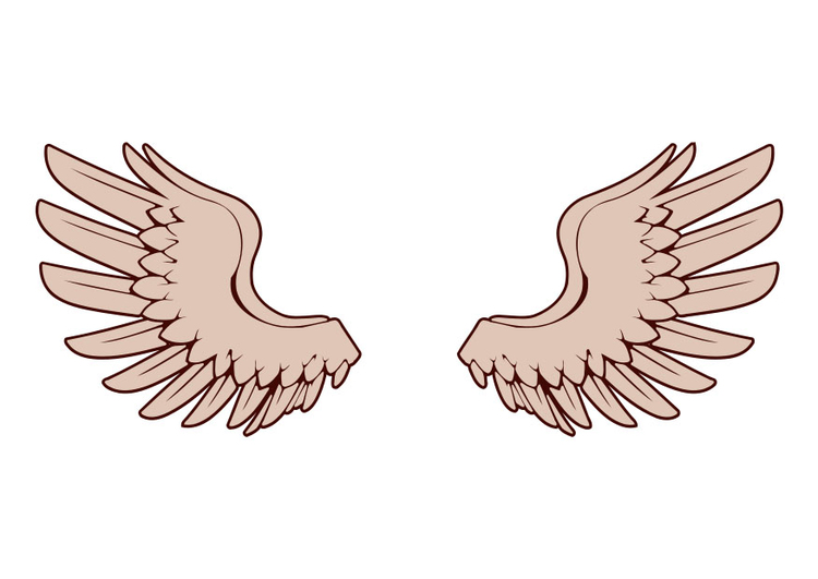 Afbeelding vleugels