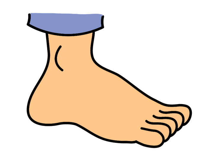 Afbeelding voet