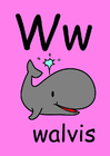 afbeelding w
