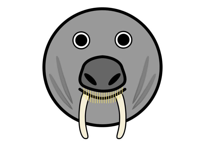 Afbeelding r1 - walrus