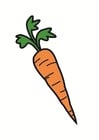 Afbeelding wortel 