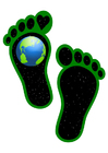 ecologische voetafdruk