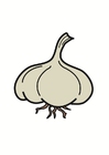 knoflook