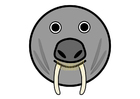 r1 - walrus