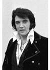 Foto's Elvis Presley