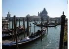 Gondels Grand Canal Venetië