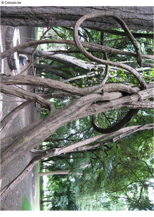 Park Puna