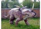 Foto's Styracosaurus replica