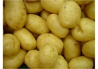 Foto's aardappelen