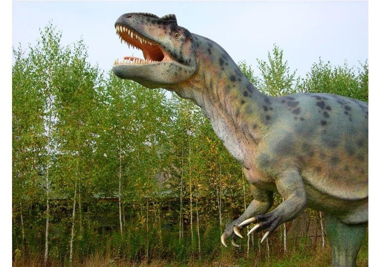 Foto Allosaurus replica