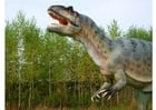 Foto's Allosaurus replica