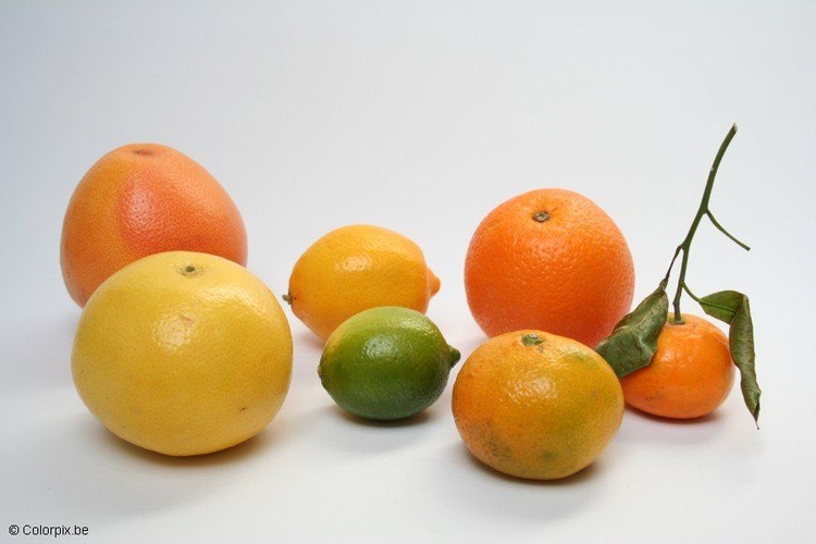 Foto citrusvruchten