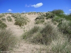 Foto duinen