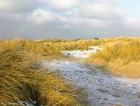 Foto duinen 