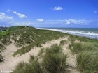 Foto's duinen zee kust 1