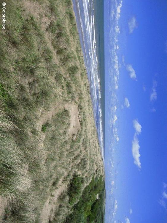 duinen zee kust