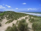 foto duinen zee kust 1