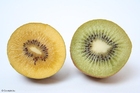 Foto's gele en groene kiwi