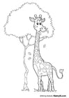 Kleurplaat giraf