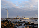 Foto haven met windmolens