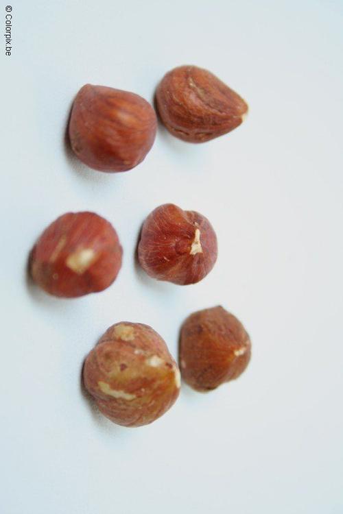 hazelnoten