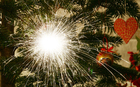 Foto's kerstboom