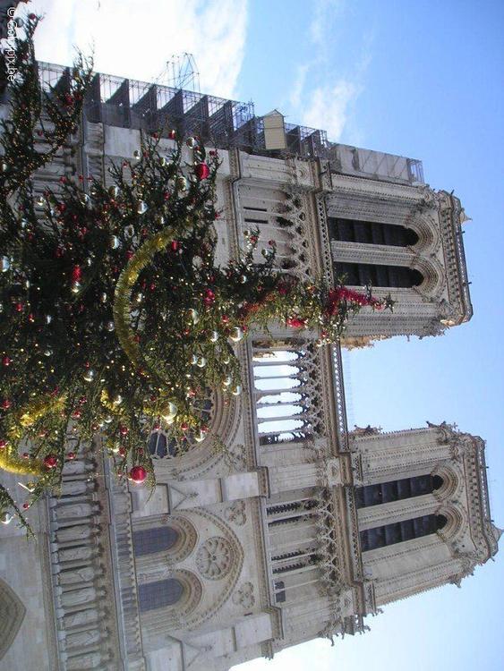 Notre Dame kerstdagen Parijs