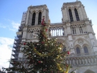 Foto's Notre Dame kerstdagen Parijs
