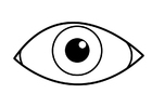 Kleurplaat oog