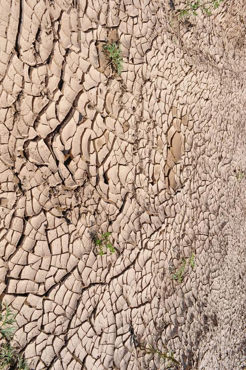 opwarming van de aarde