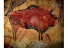 Foto prehistorische schilderkunst - bizon