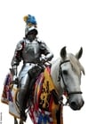 Foto's ridder te paard