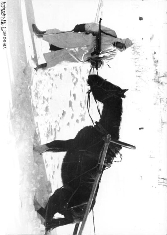 Rusland - soldaat met paard in de winter