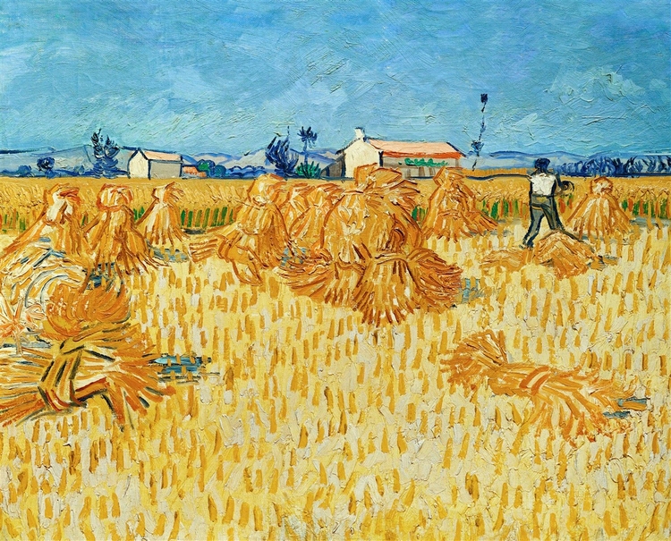 Foto schilderij van Vincent van Gogh