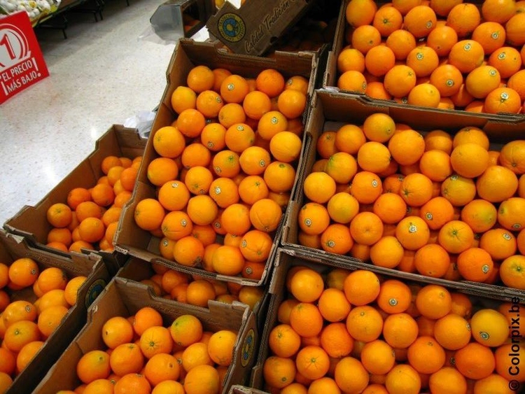 Foto sinaasappels