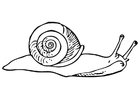 Kleurplaat slak