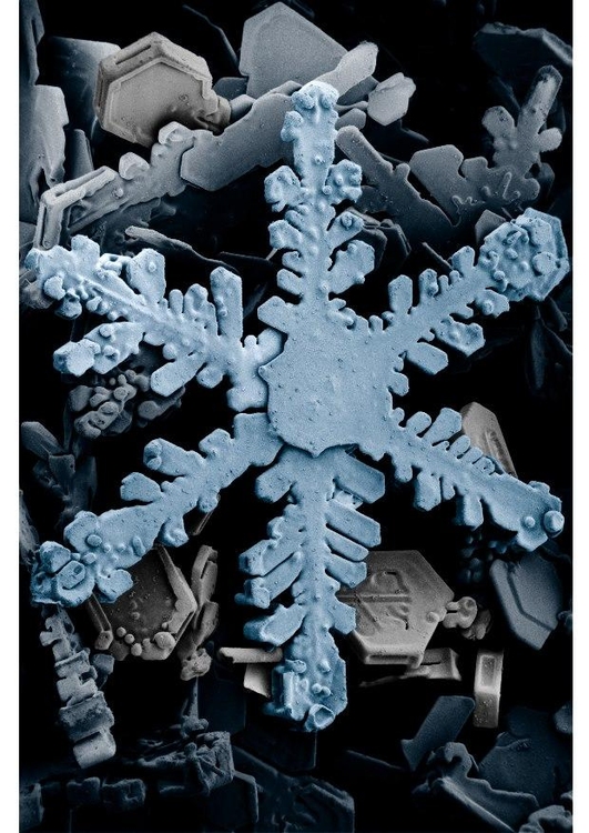 Foto sneeuwkristallen onder een microscoop