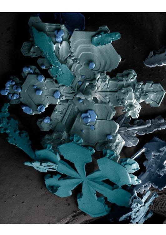 sneeuwkristallen onder microscoop