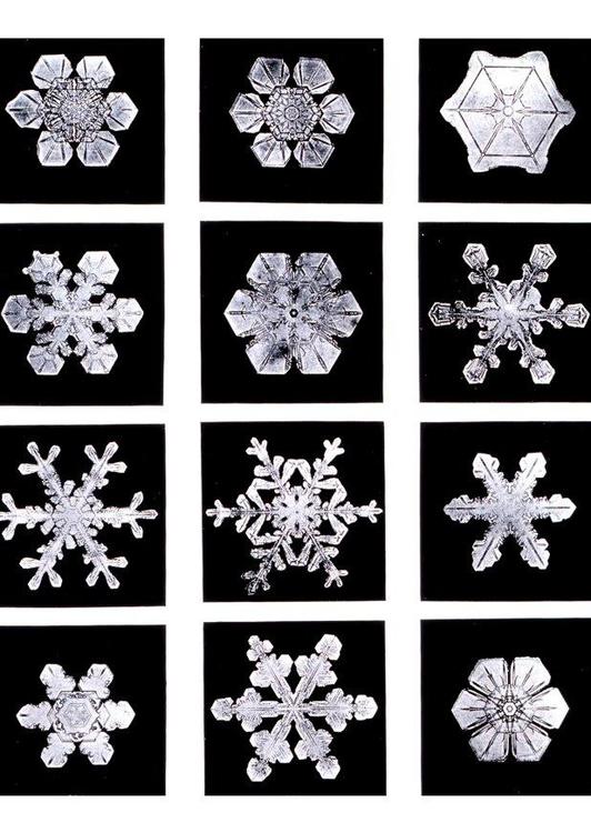 sneeuw kristallen