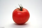 Foto tomaat
