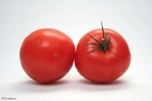 Foto's tomaten