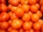 Foto tomaten