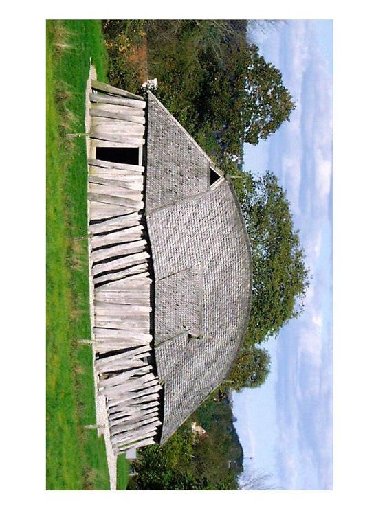 Viking huis